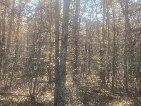 Other - 0 Waterloo Rd, Westpoint, TN 38486 photo 2 of 20
