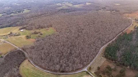 View/Area - 0 Waterloo Rd, Westpoint, TN 38486 photo 4 of 7
