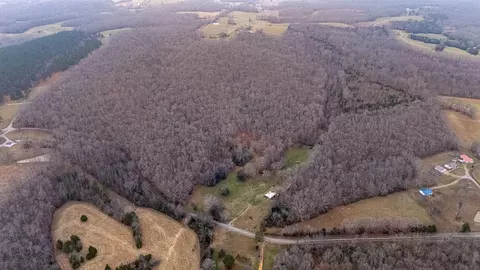 View/Area - 0 Waterloo Rd, Westpoint, TN 38486 photo 2 of 7