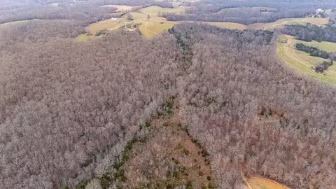 Other - 0 Waterloo Rd, Westpoint, TN 38486 photo 18 of 20