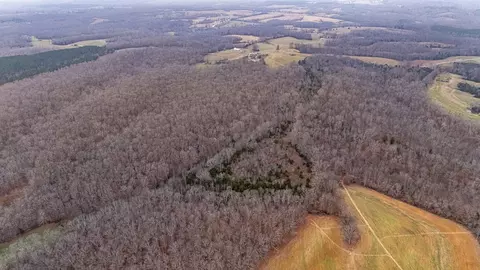 Other - 0 Waterloo Rd, Westpoint, TN 38486 photo 20 of 20