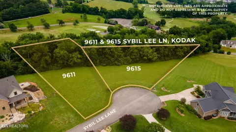 9615 Sybil Lee Ln, Kodak, TN 37764