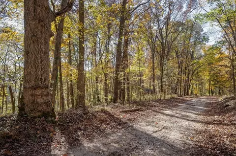 0 Webbs Camp Rd, Walling, TN 38587 photo 18