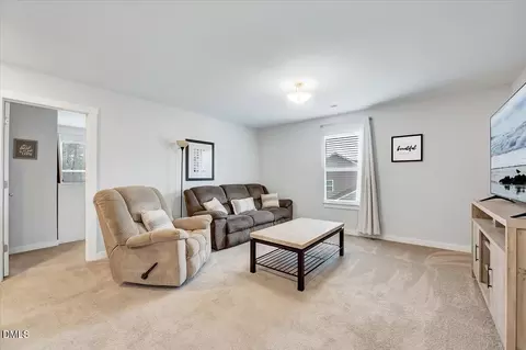 25 Courrone Ct, Willow Spring, NC 27592 photo 22