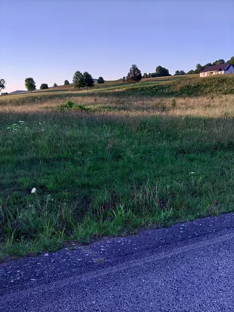0 Collins Run, Mcminnville, TN 37110