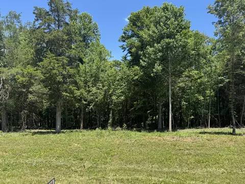0 Nancy Shawl, Dickson, TN 37055 photo 2