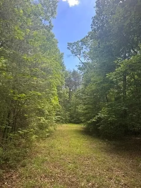 43 Bluffs Woods, Altamont, TN 37301