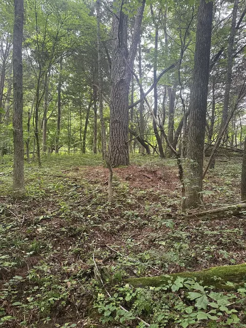 7855 Bethlehem Rd, Springfield, TN 37172 photo 23