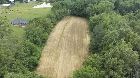 7855 Bethlehem Rd, Springfield, TN 37172 photo 6