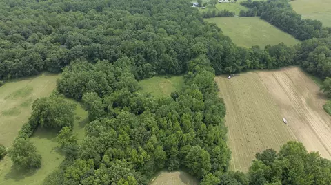 7855 Bethlehem Rd, Springfield, TN 37172 photo 9