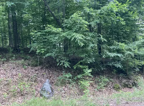 0 Briarwood Dr, Erin, TN 37061