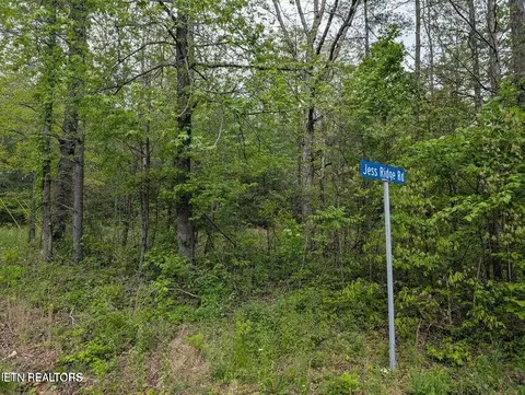 158 Jess Ridge Rd, Lancing, TN 37770