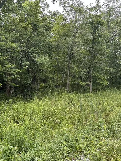 3119 Crow Dr, Crossville, TN 38572