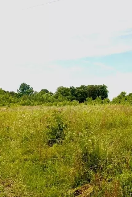 482 Friendship Ln, Delano, TN 37325