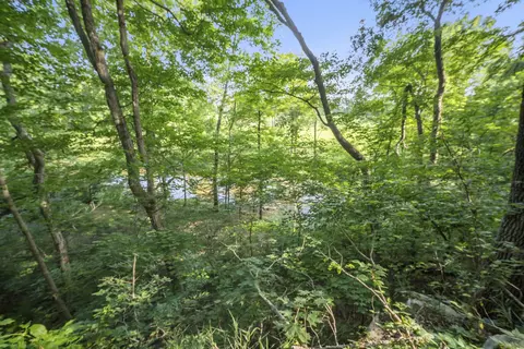 View/Area - 22153 Highway 49 E, Springfield, TN 37172 photo 9 of 10