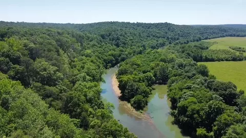 430 Petty Dr, Linden, TN 37096