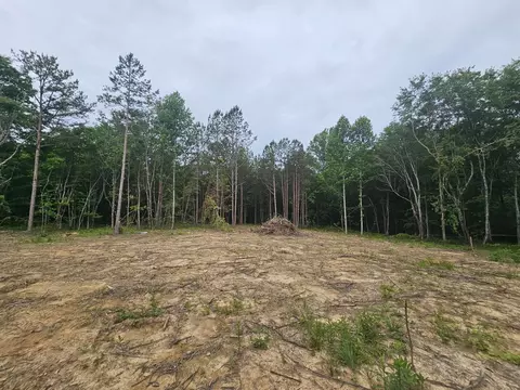 229 Windstone Dr, Tracy City, TN 37387