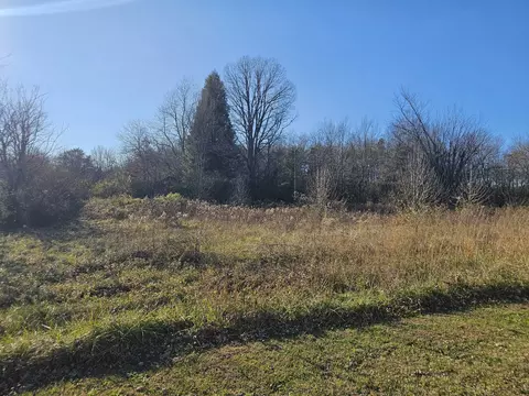 0 Yates Rd, Hillsboro, TN 37342