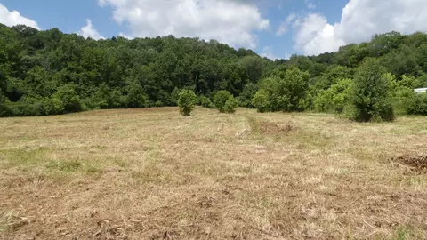 0 Lonnie Reecer Rd, Celina, TN 38551
