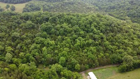 32 Patterson Ln, Pleasant Shade, TN 37145