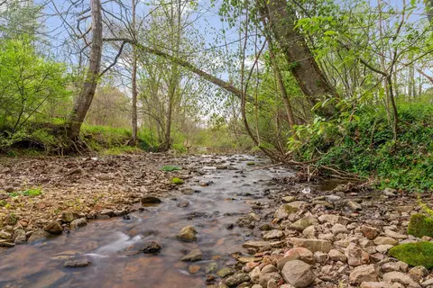 4 Bud Parker Ln, Erin, TN 37061