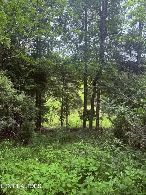 0 Chambers Rd, Jacksboro, TN 37757