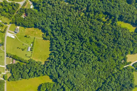 View/Area - 4940 Marion Rd, Cunningham, TN 37052 photo 2 of 4