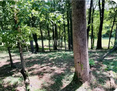 Exterior - 145 Gamble St, Doyle, TN 38559 photo 8 of 11