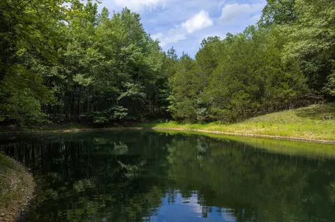 View/Area - 1217 Nelson Rd, Dickson, TN 37055 photo 9 of 9