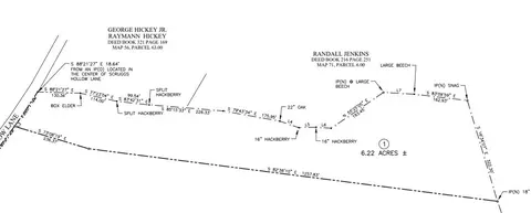 1 Scruggs Hollow Ln, Hartsville, TN 37074