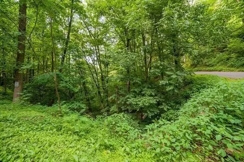 10 Buena Vista Dr, Sevierville, TN 37876