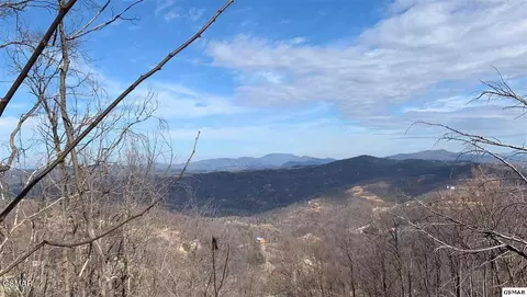 295 S Piney Butt Loop, Gatlinburg, TN 37738