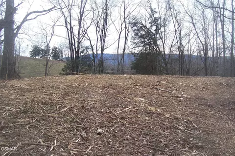 58011 Chapman Hwy, Seymour, TN 37865
