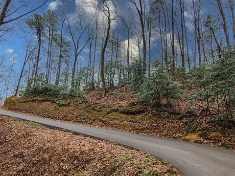20 Luzerne Dr, Gatlinburg, TN 37738