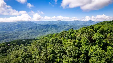 10 St Moritz Dr, Gatlinburg, TN 37738