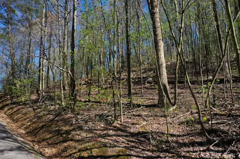 804 Rhododendron Ln, Sevierville, TN 37876