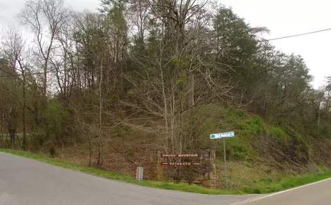 1 Jones Cv, Sevierville, TN 37876