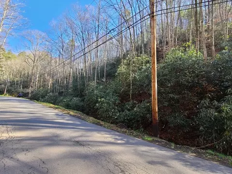 17 Butler Branch Rd, Gatlinburg, TN 37738