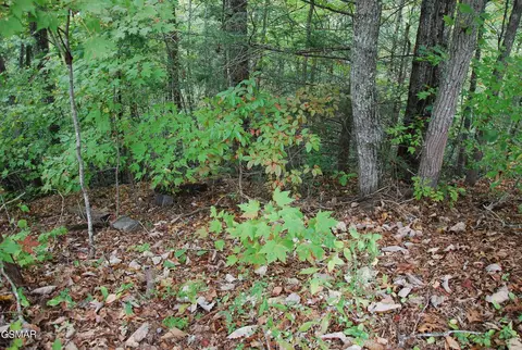2017 Ridgecrest Loop Ln, Sevierville, TN 37876