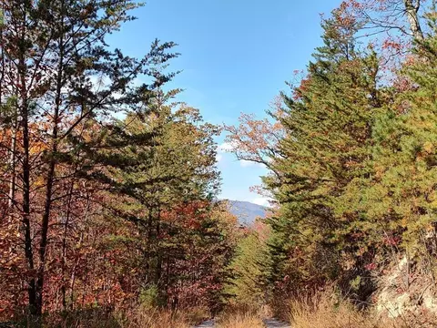 0 Green Forest Rd, Cosby, TN 37722