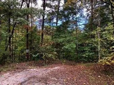51 Mr Marshall Dr, Pigeon Forge, TN 37863