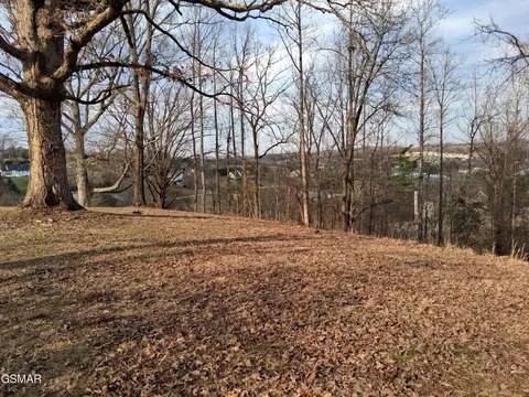5 Sandpiper Ct, Kodak, TN 37764