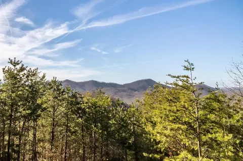 4529 Stackstone, Sevierville, TN 37862 photo 49