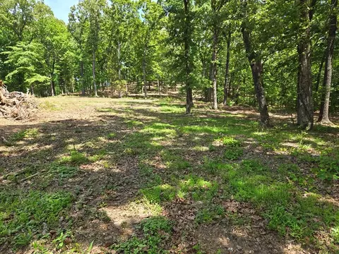 730 Swan Bay Dr, Buchanan, TN 38222