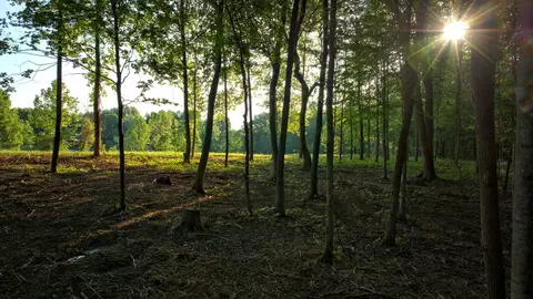 0 Keystone Dr, Pleasant View, TN 37146