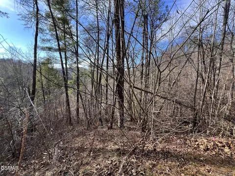 2331 Willow Ln, Sevierville, TN 37862