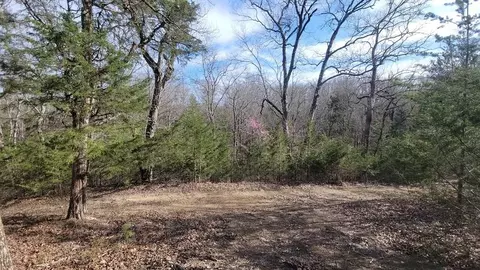 0 Black Oak Ridge Rd, Sevierville, TN 37876