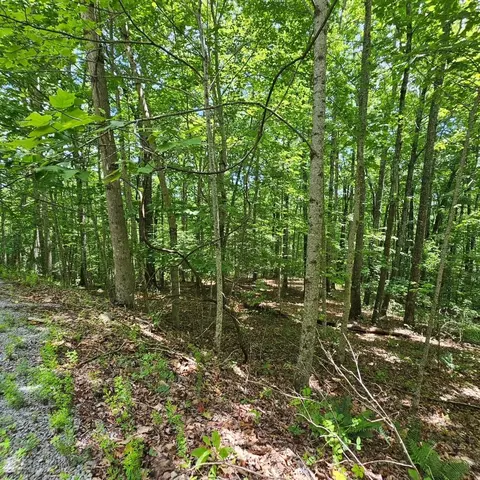 555 Oak Leaf Ln, Dunlap, TN 37327