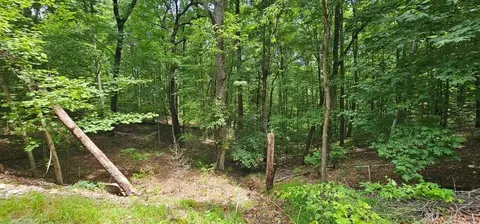 555 Oak Leaf Ln, Dunlap, TN 37327