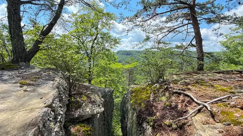 0 Flat Rock Rd, Jamestown, TN 38556